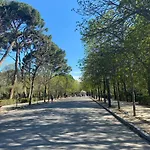 Private Rooms Madrid Retiro