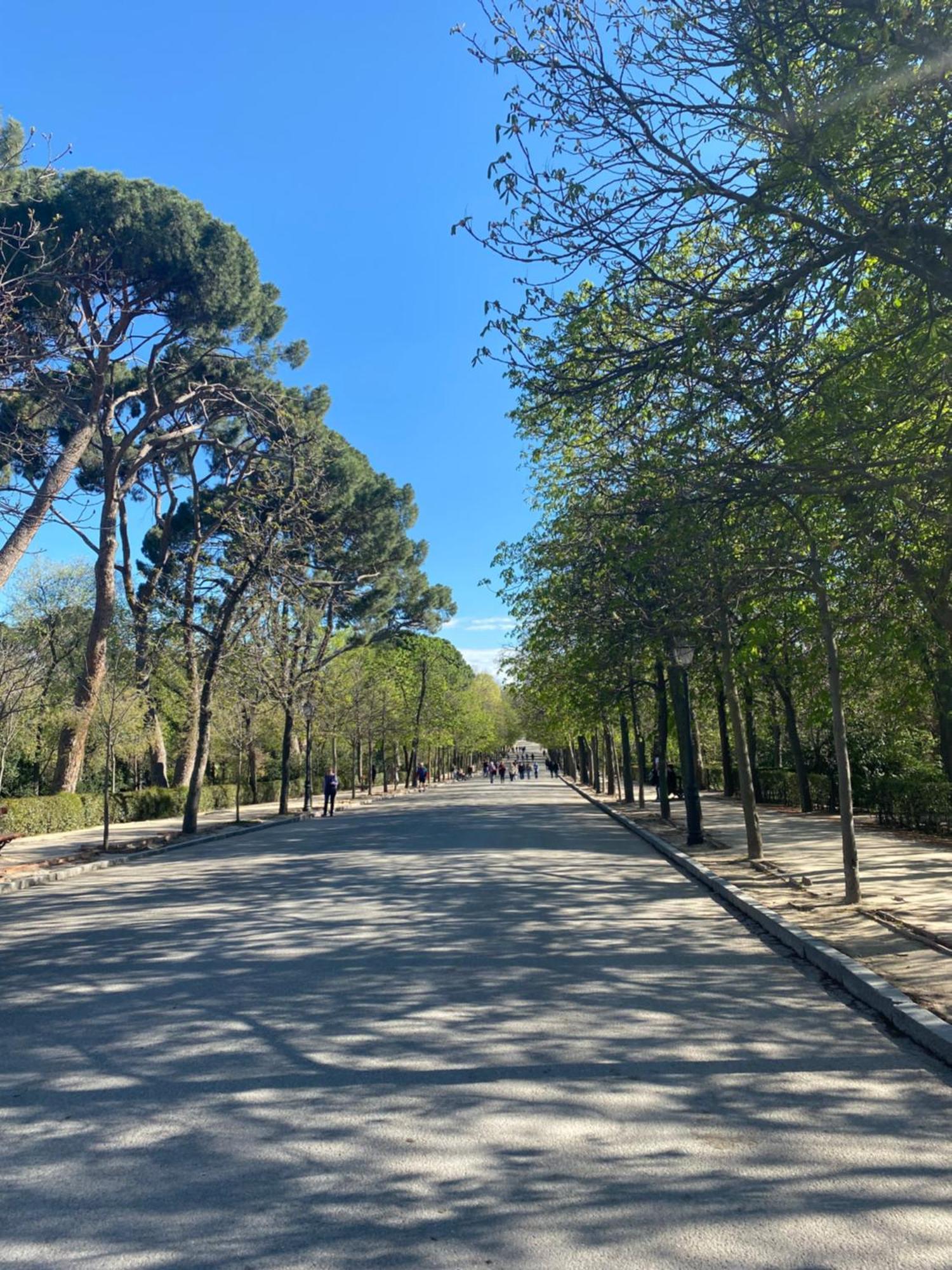 Bed and breakfast Private Retiro Madrid