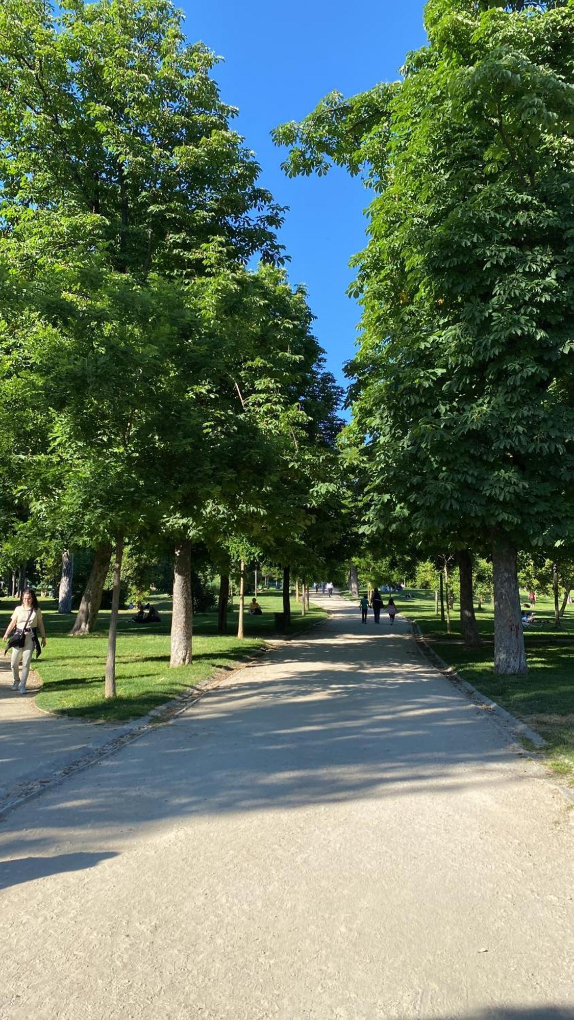 Bed and breakfast Private Retiro Madrid