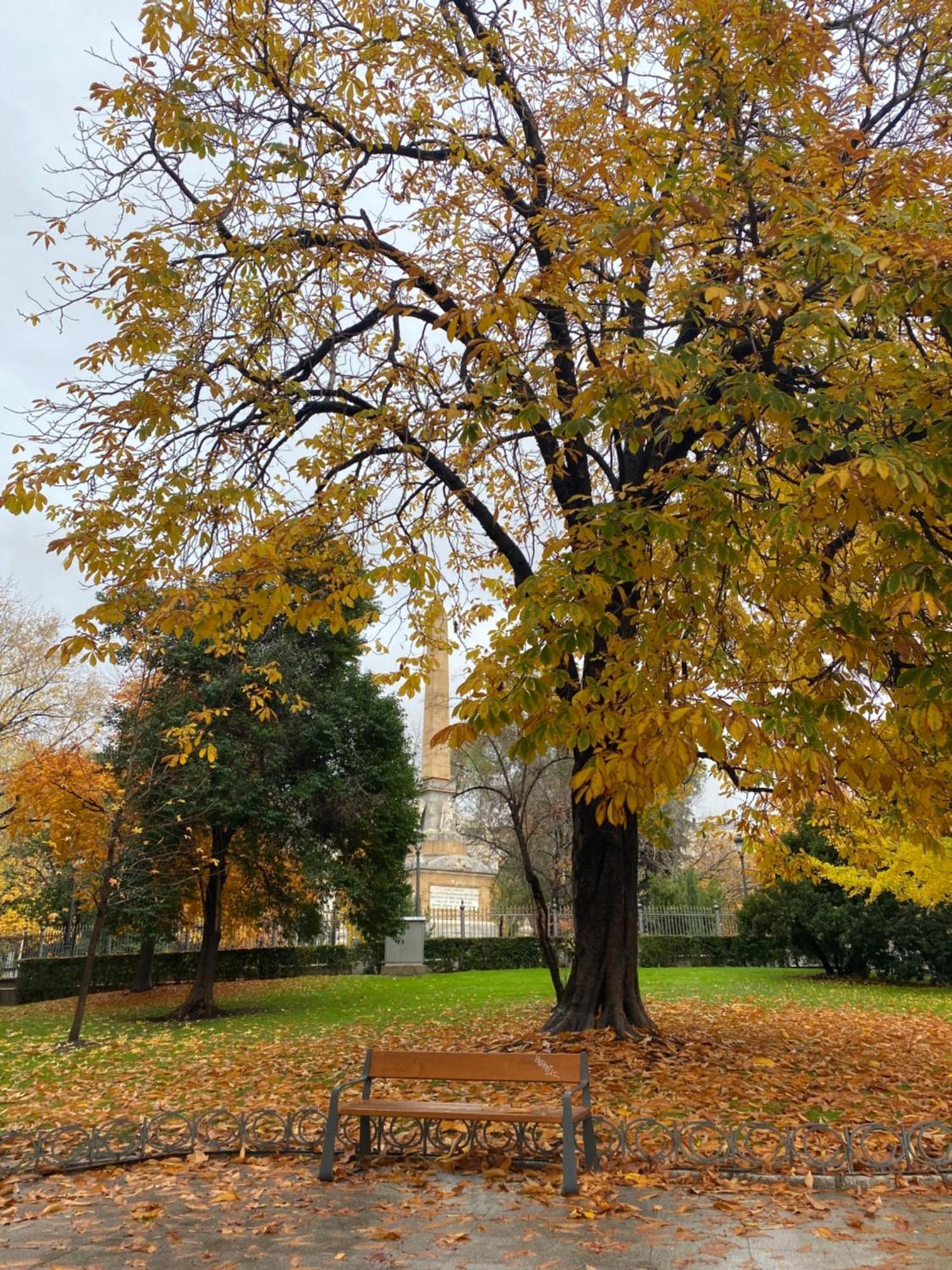 Bed and breakfast Private Retiro