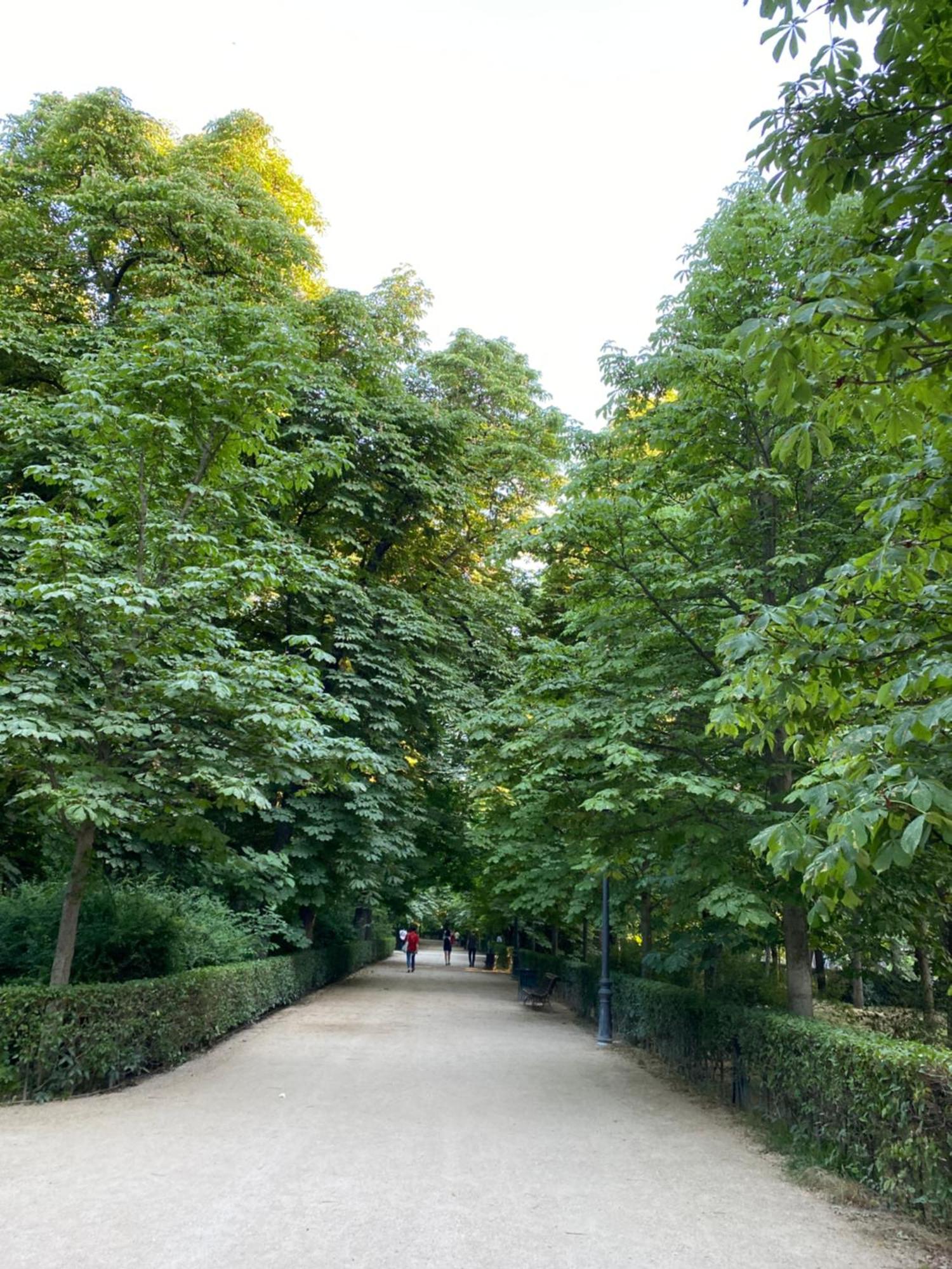 Private Retiro Madrid